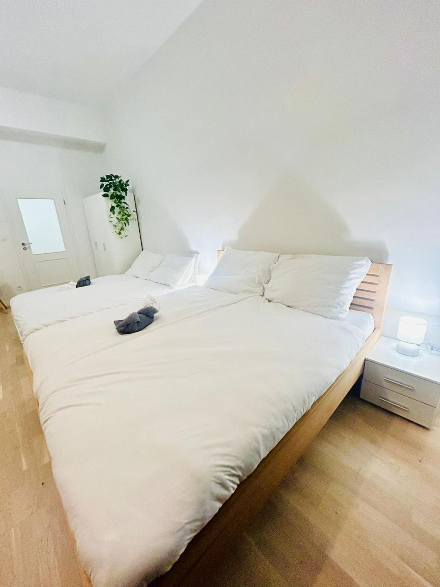 Appartement Cozy Design Right Next To Wenceslas Square *